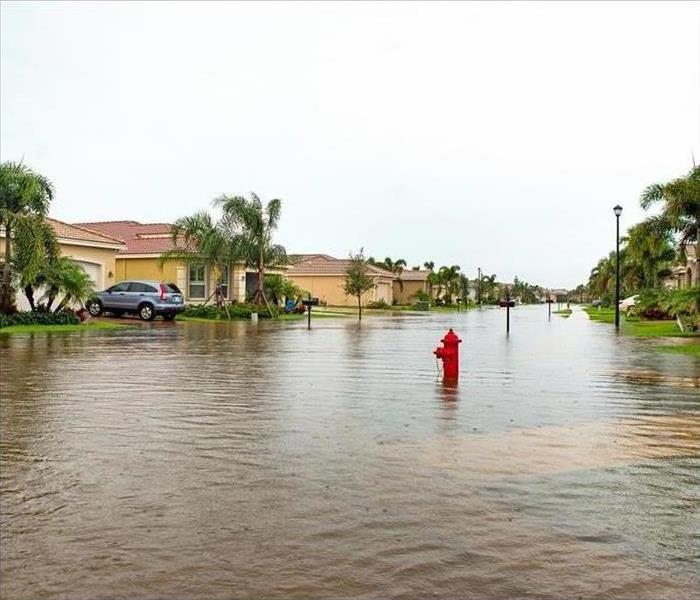 Flooded Florida street