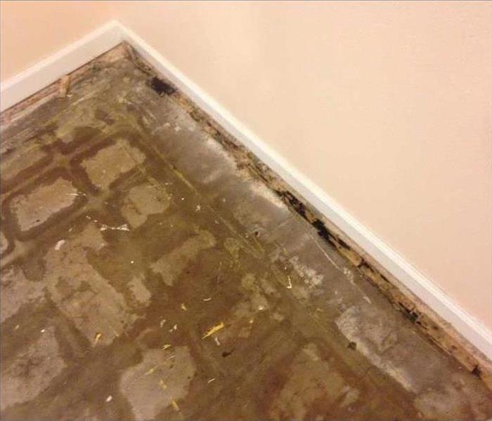 Mold discovered as tile being replaced